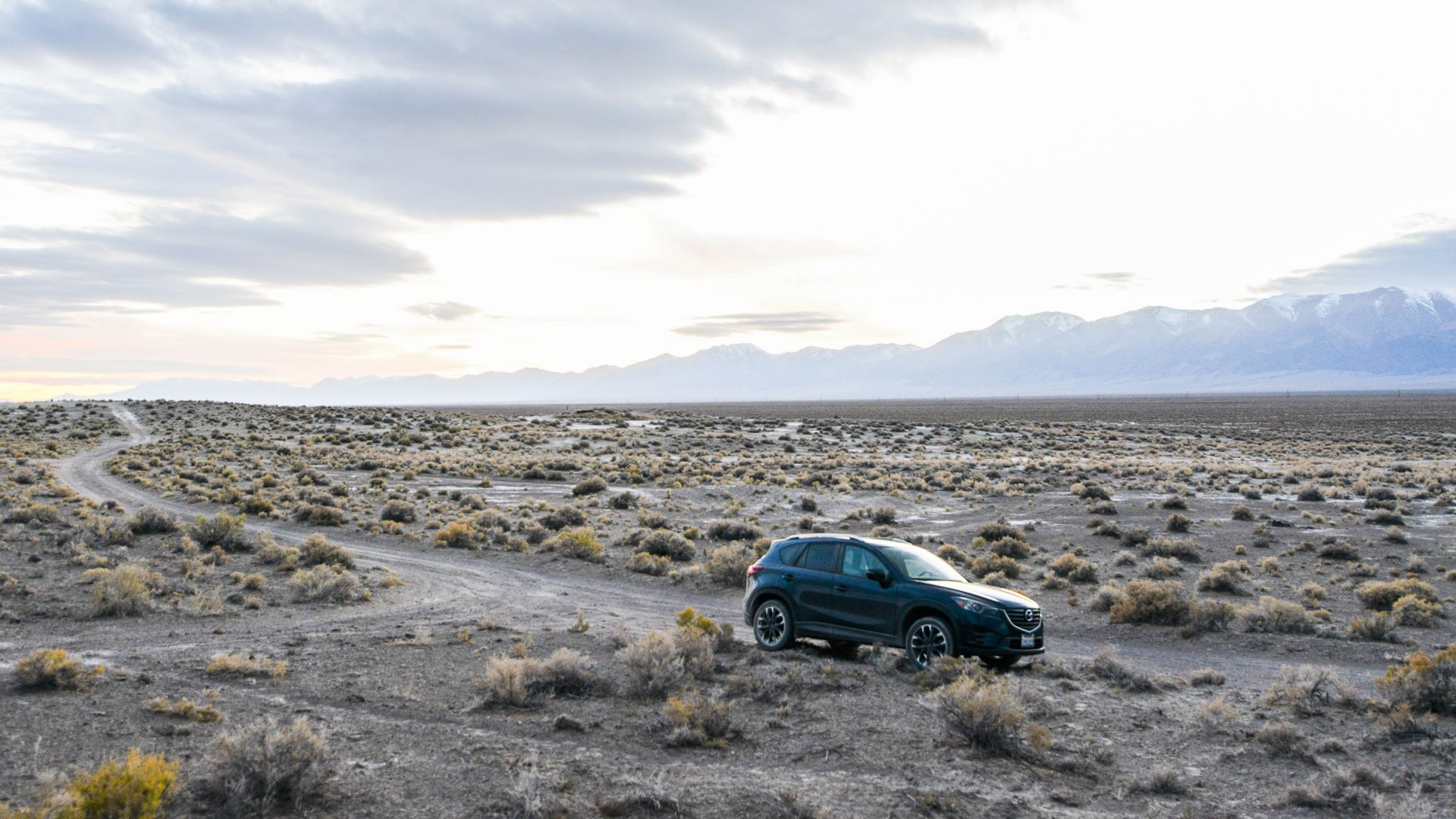 How to make friends on “America’s loneliest road”