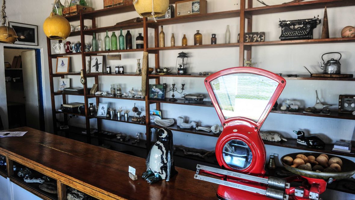 How a seaweed empire became Argentina's Galapagos