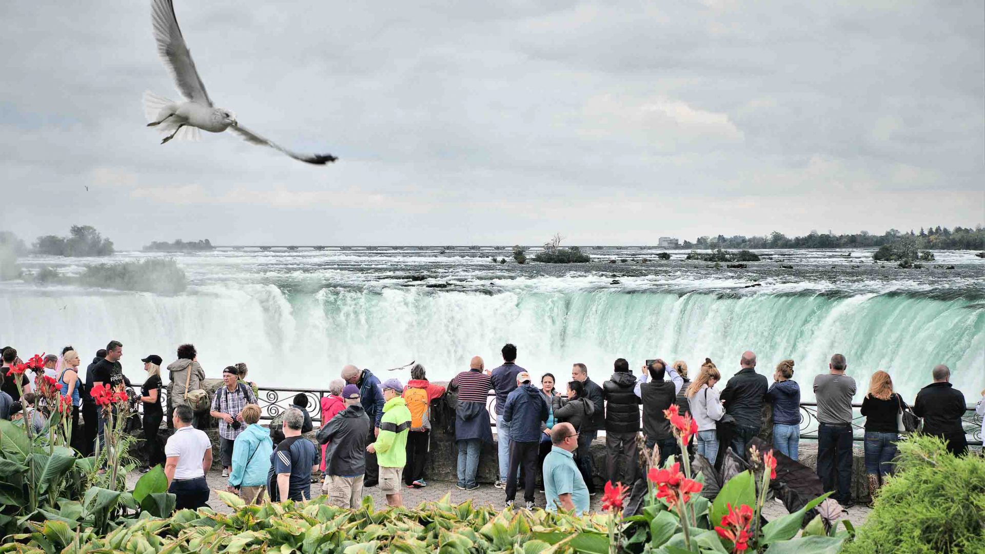 Lots of tourists look down at Niagara Falls.
