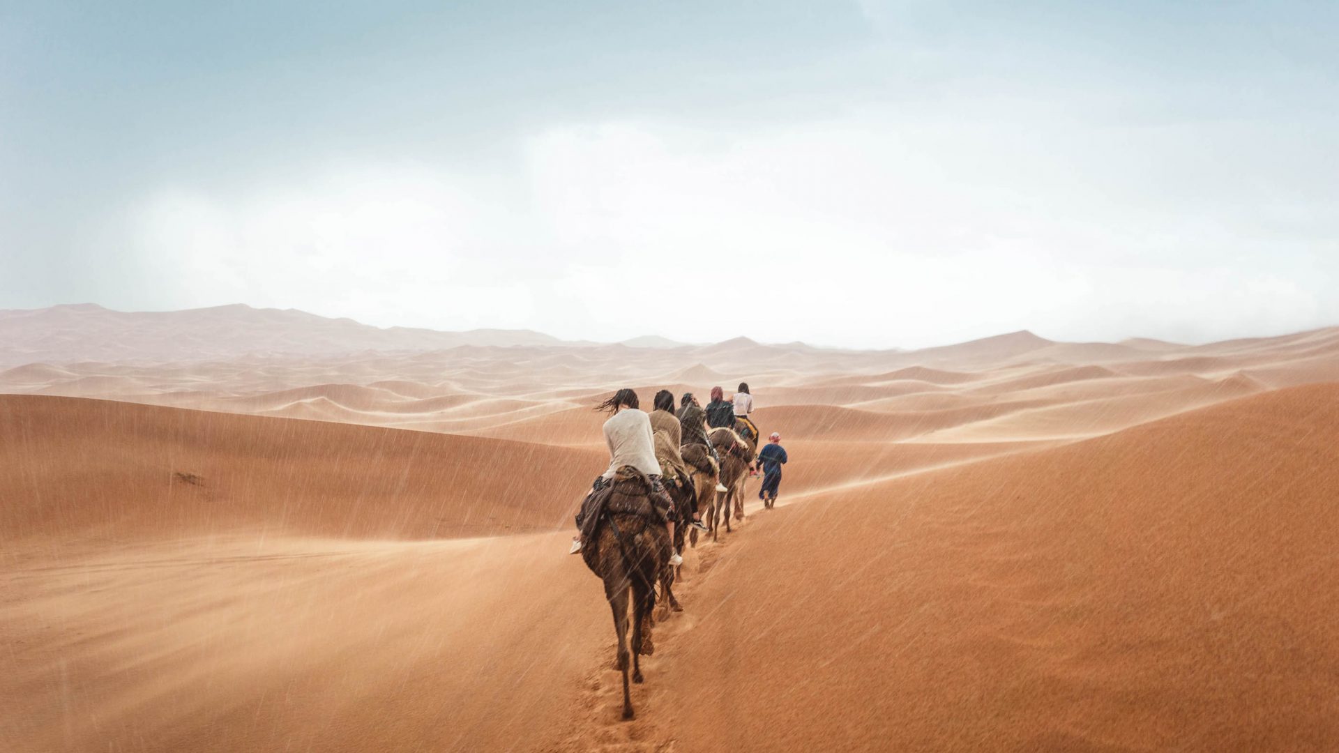A guide leads tourists on camels through the desert.