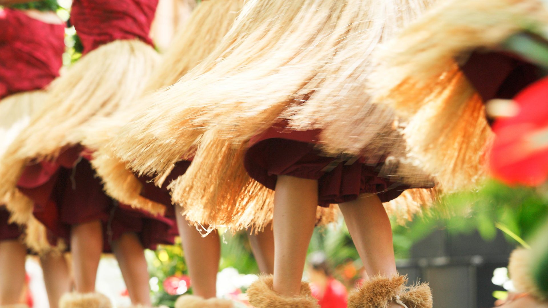 The legs and skirts of some hula dancers.