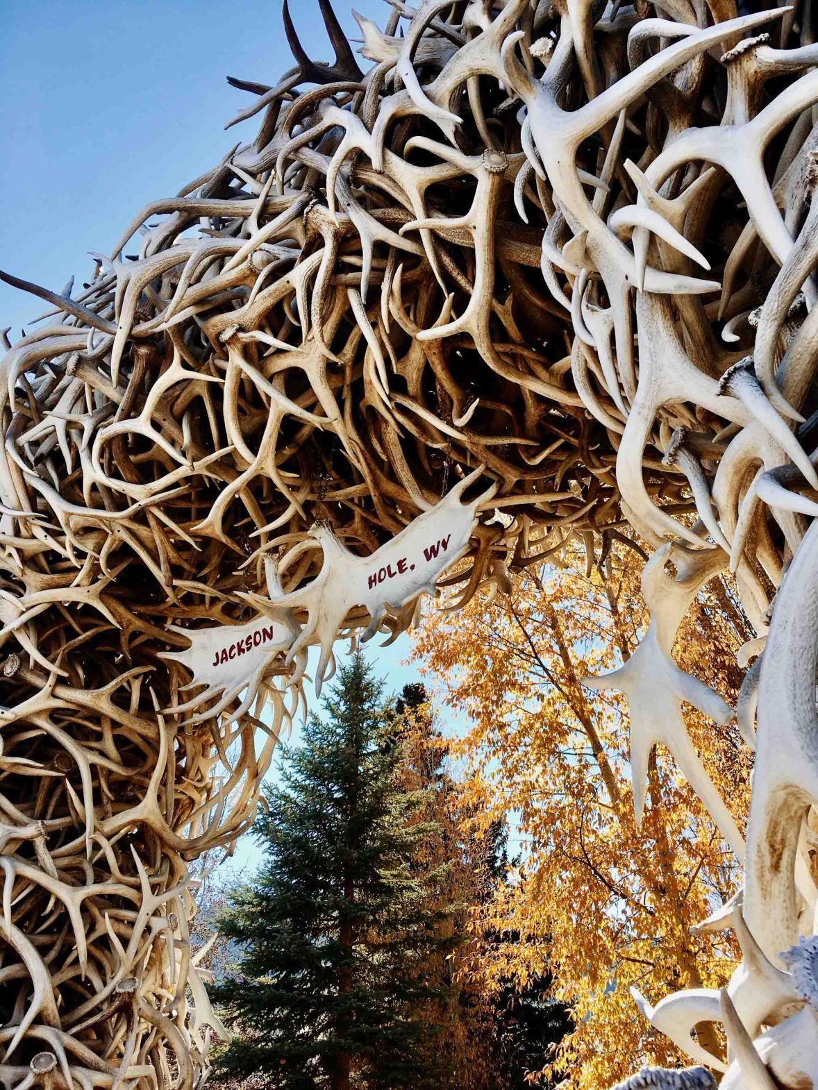 The antlers that make up the archway at the entry to Jackson Hole.
