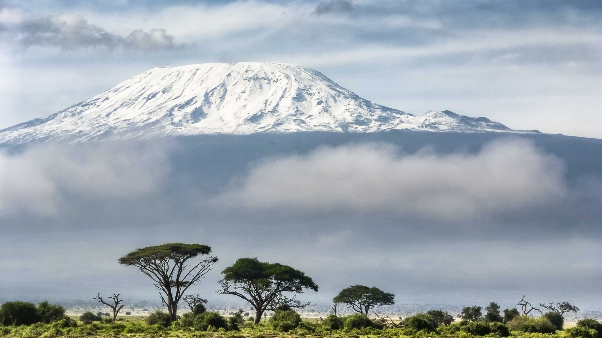 Snow covered Mount Kilimanjaro in the background with trees and cloud in the foreground.
