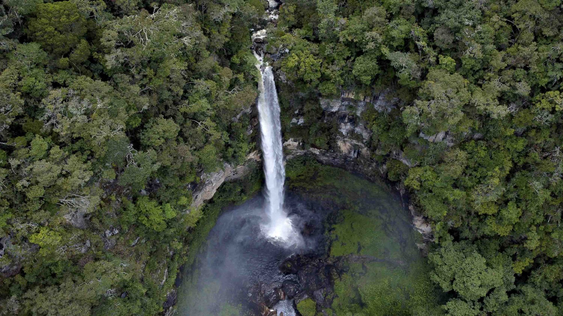 An aerial view of a waterfall surrounded by green trees cascading into a green pool.