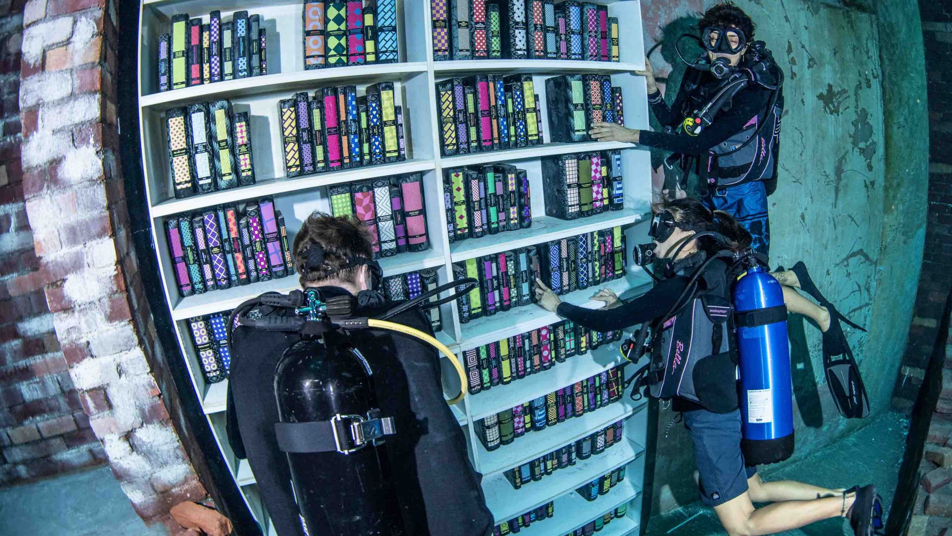 Divers come up against an underwater bookshelf.