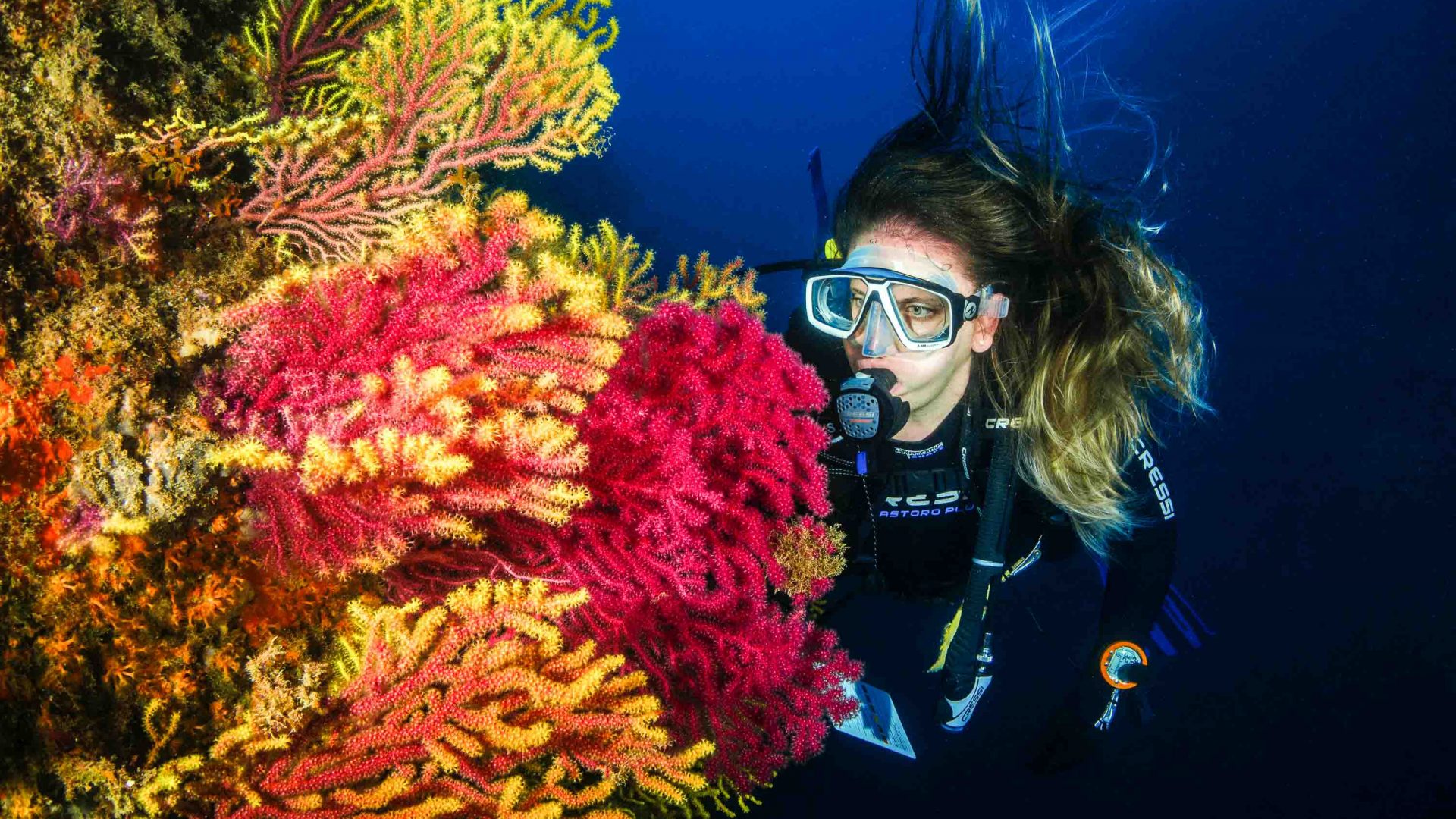 A female diver gets very closed to some brightly colored coral.