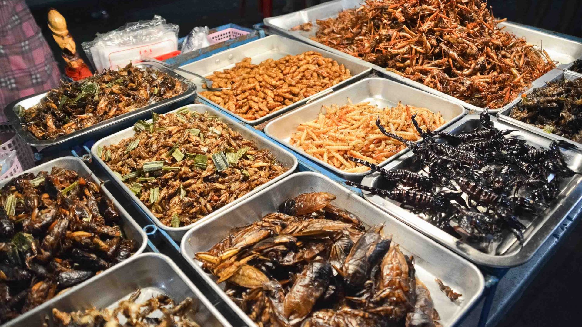 Trays of varying insect dishes.