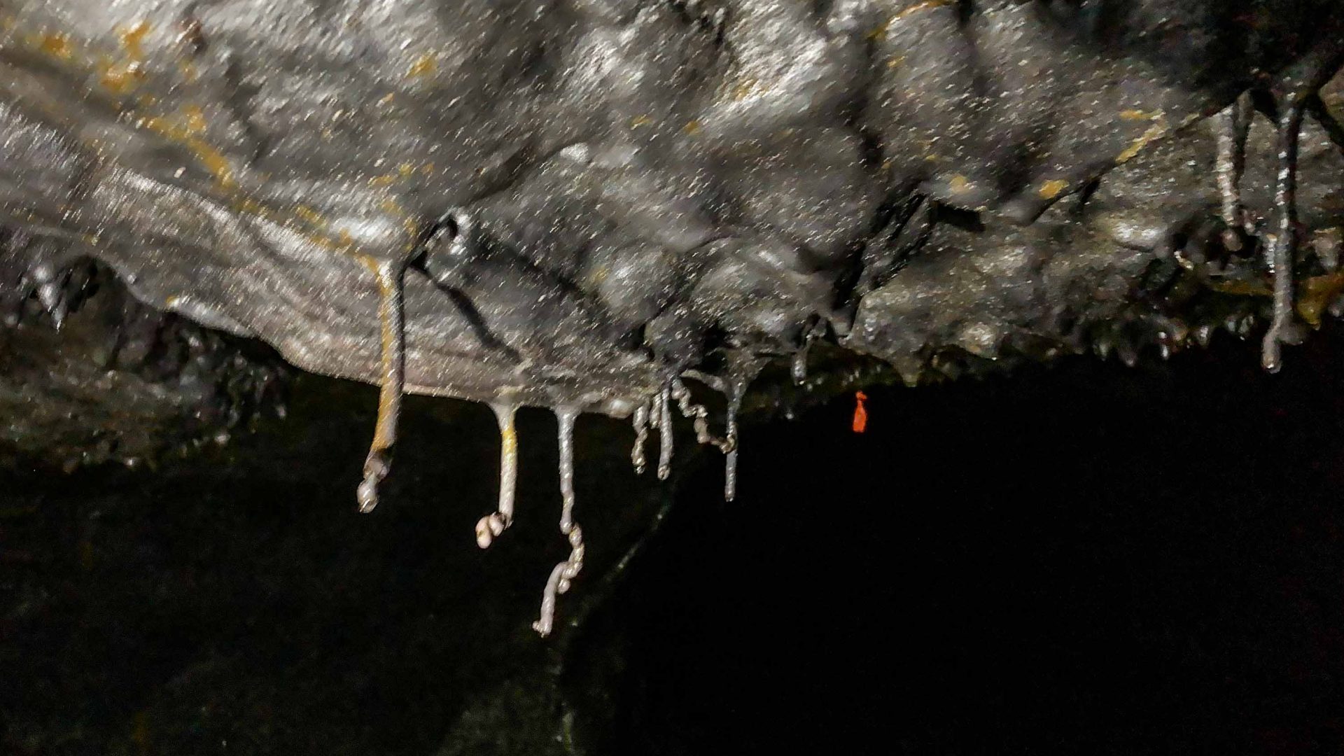 Cave straws hang from the roof of a dark cave.