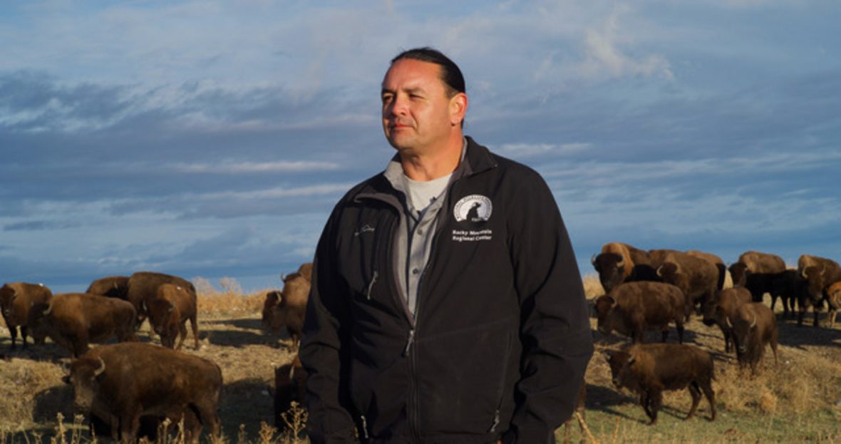Jason Baldes, a Shoshone Tribal Buffalo Representative, has worked closely with conservation groups for years to re-establish native buffalo on the Wind River Indian Reservation.