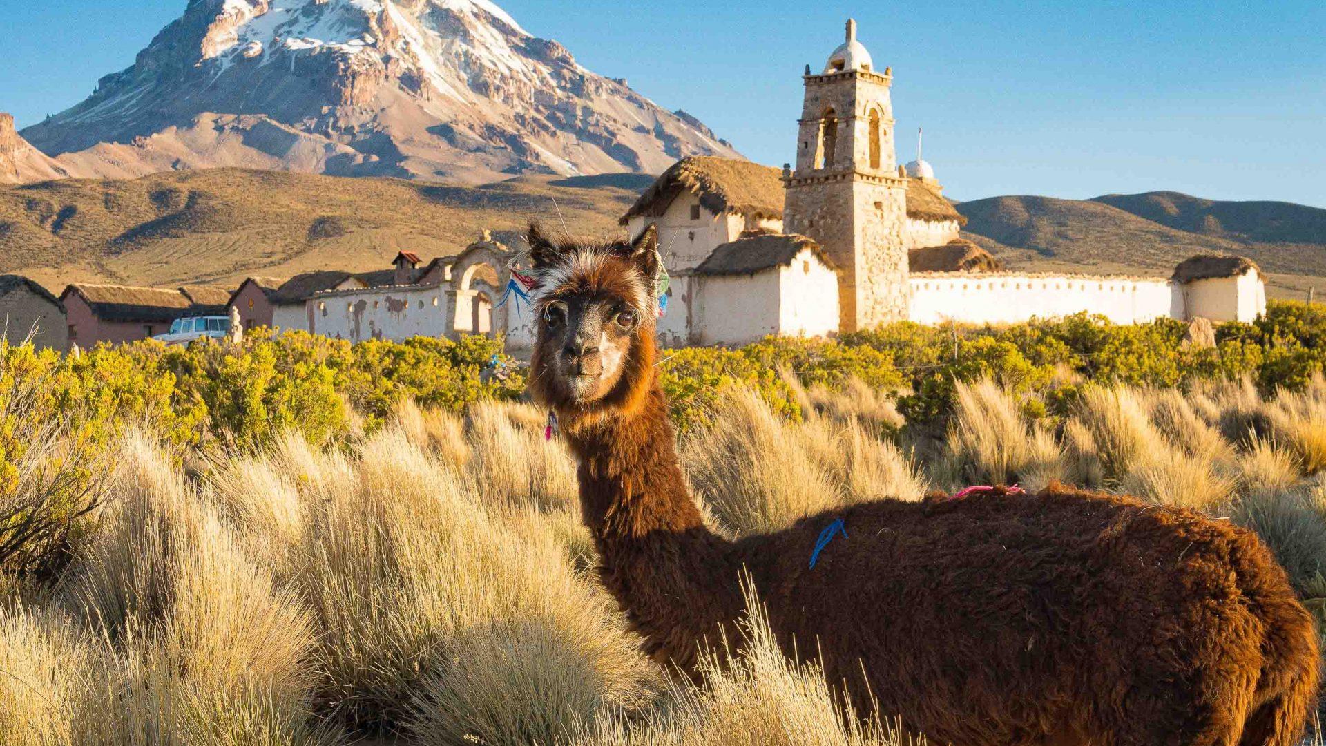 An alpaca stands in front of an old church and mountains.