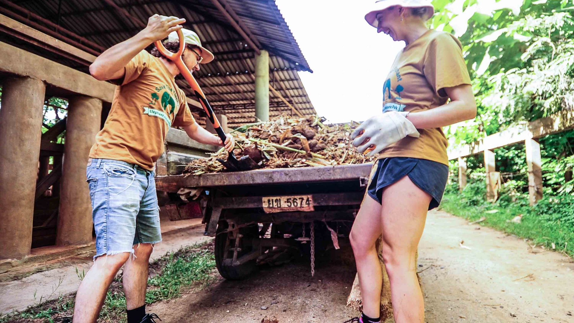 ENP volunteers shovel elephant dung from the back of a truck.