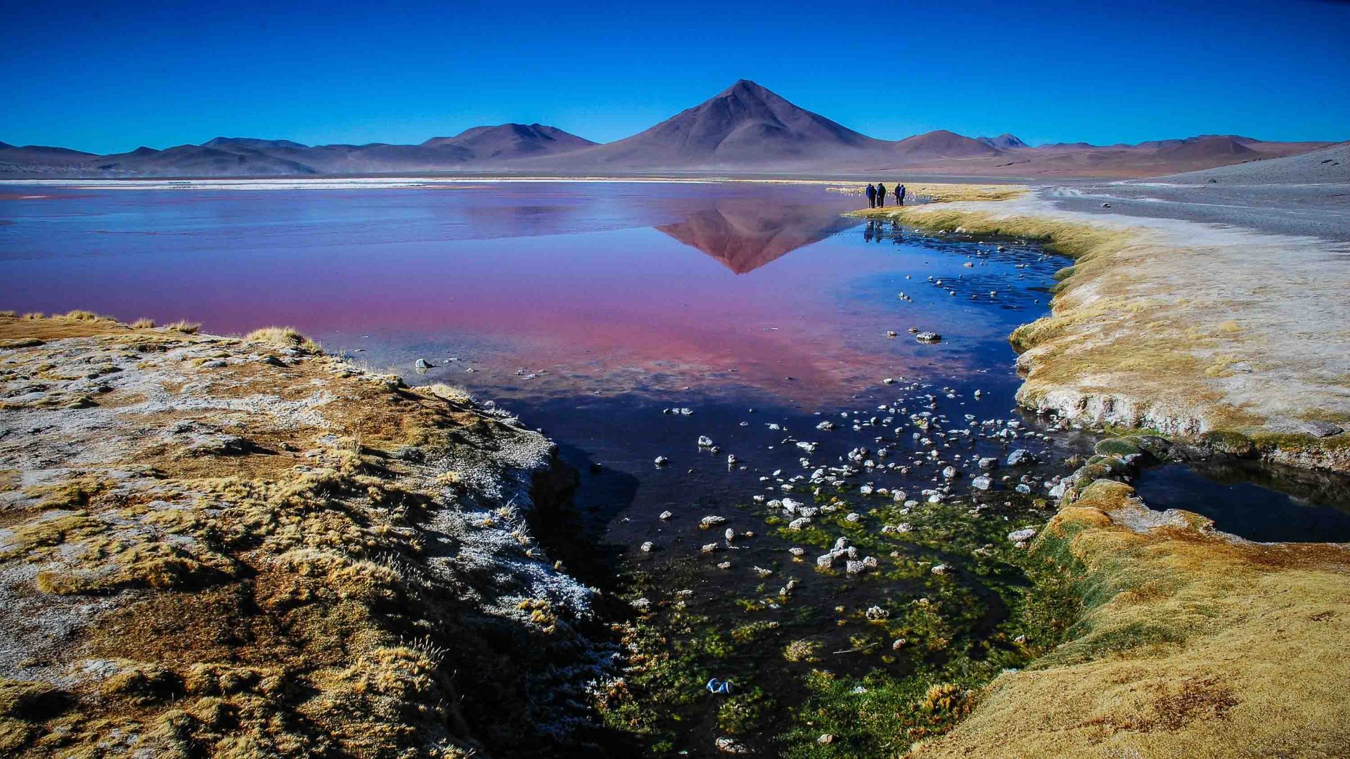 A lake made pink by algae with a mountain in the background.