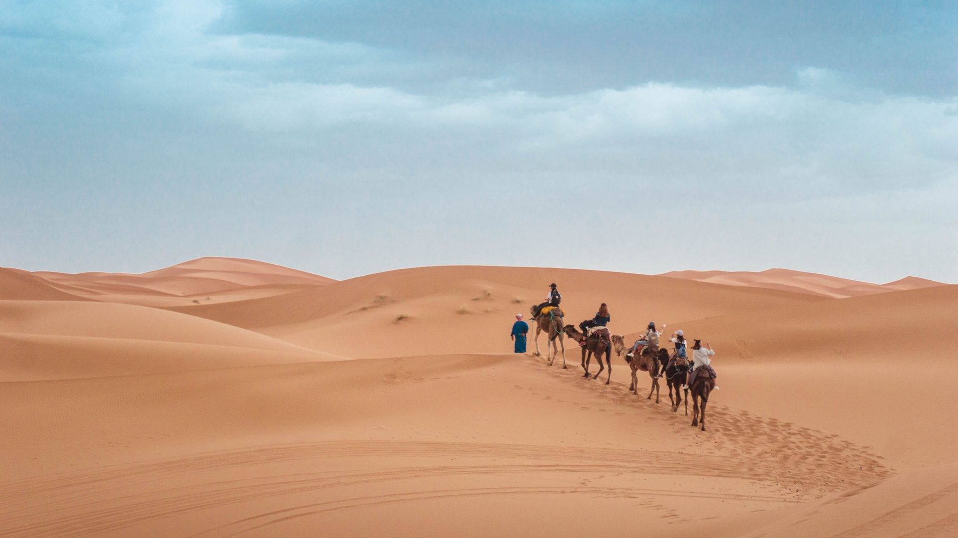 A guide leads travellers on camels through the desert.