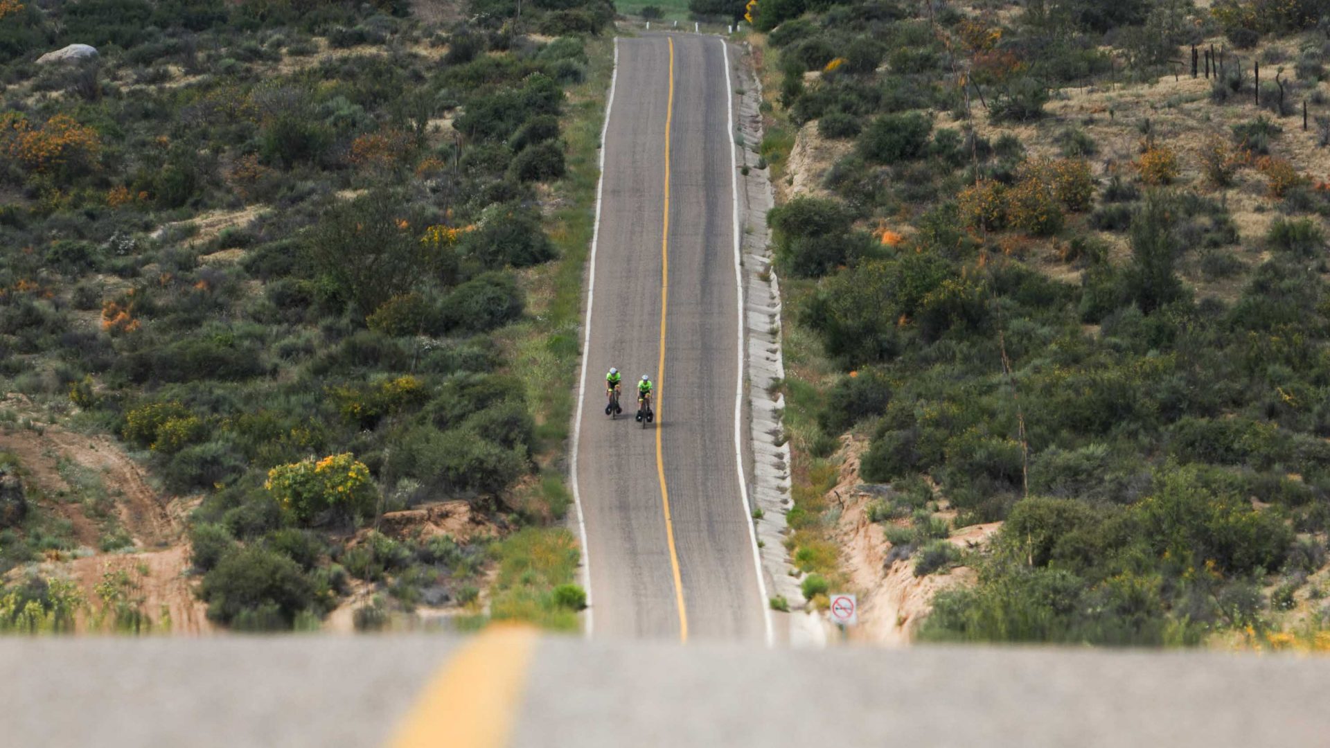 Two figures can be seen riding down a very steep tarmac road, with green shrubs on both side.