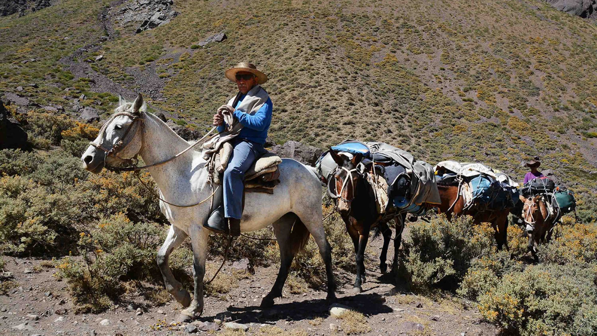 Rancheros on horses in an arid valley.