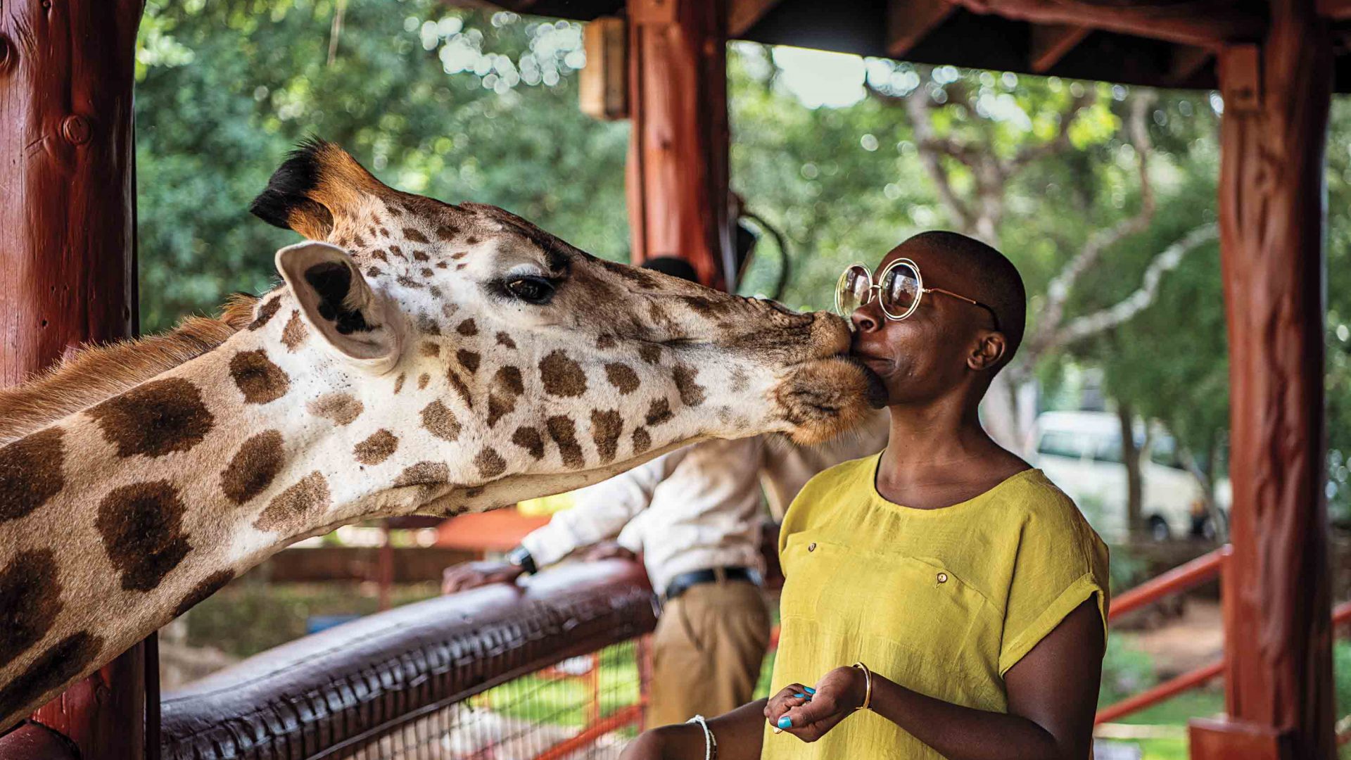 A giraffe sniffs Jessica's face.