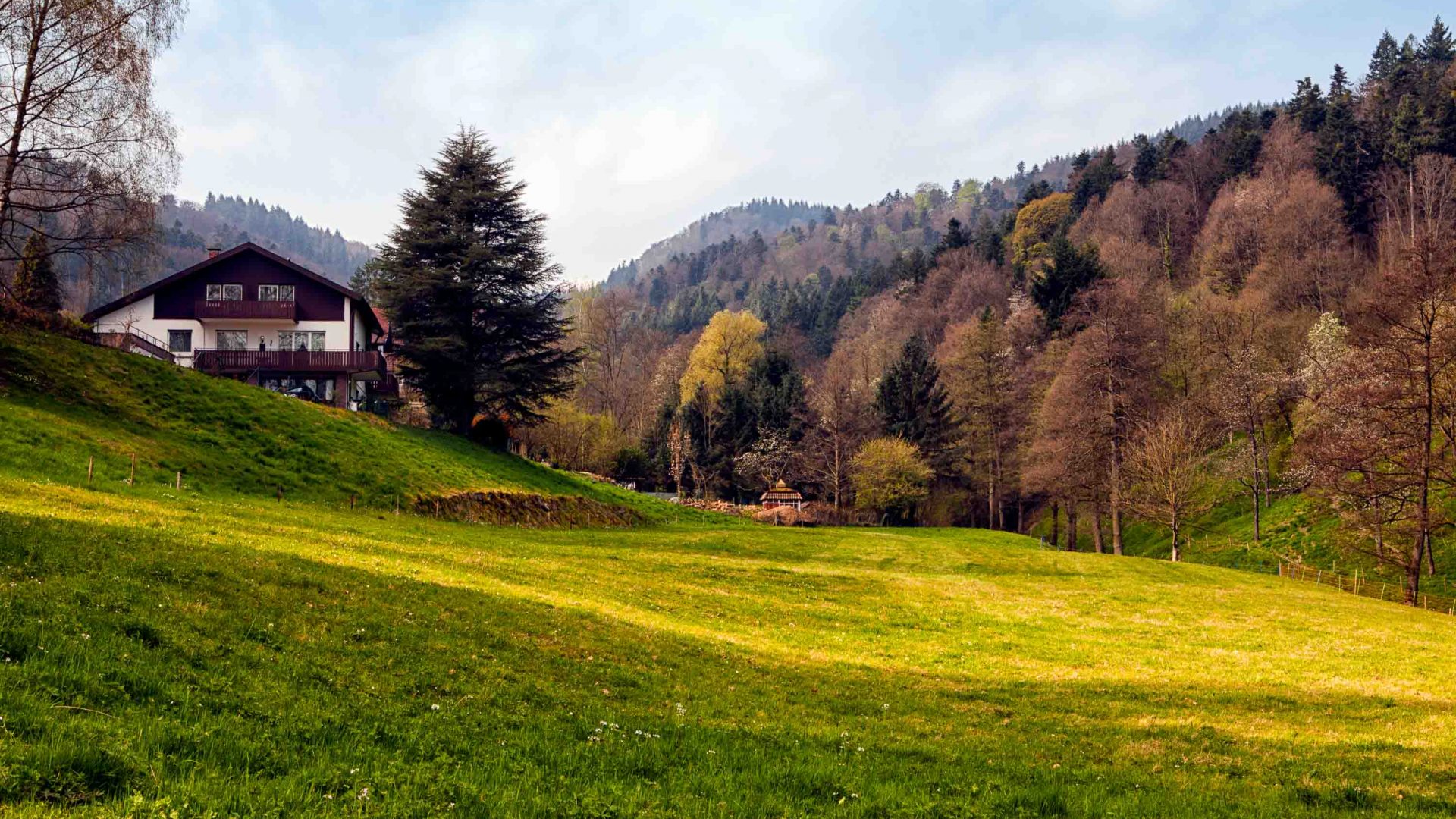 A house sits atop a grassy hill that leads to forest.