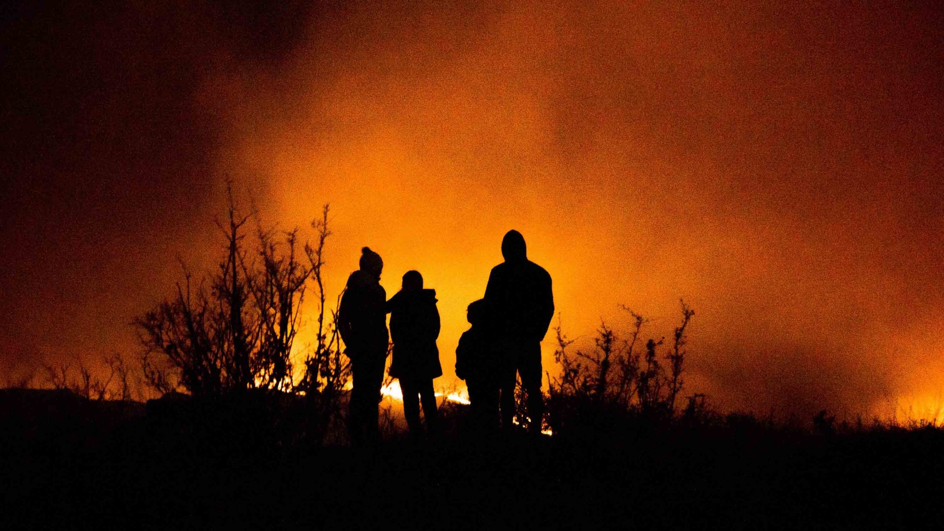 Wildfires aren’t going anywhere. So how can we learn to live with them?