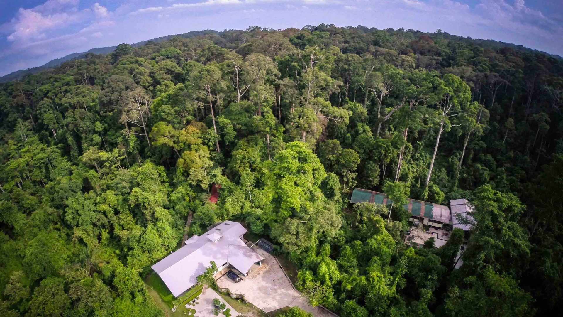 An aerial view of the Bornean Sun Bear Conservation Centre surrounded by forest.