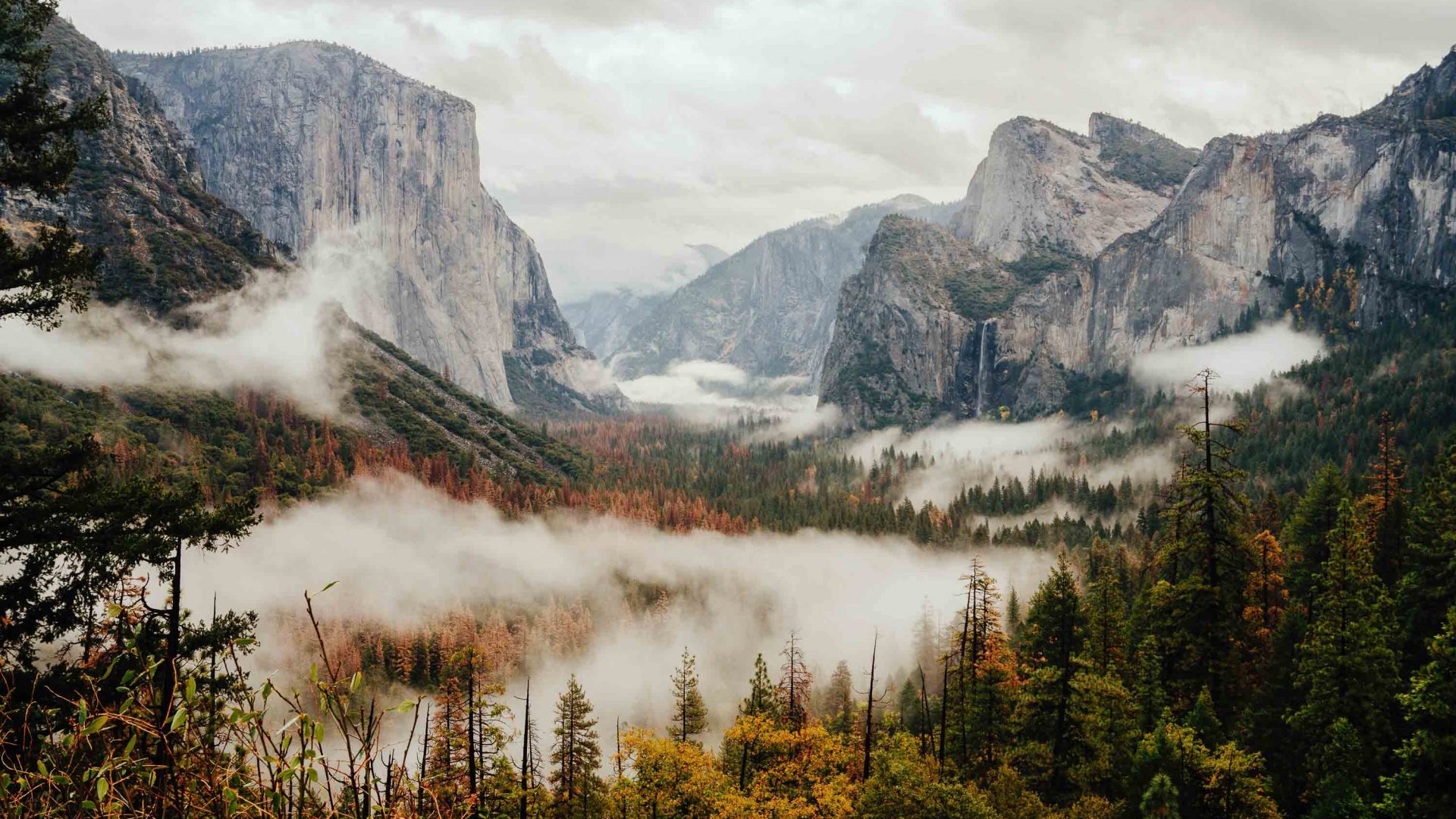 Yosemite Valley with mountains and forests shrouded in clouds.