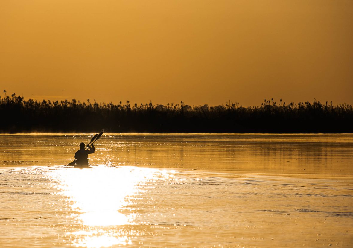 A kayaker's back as they paddle at sunset.