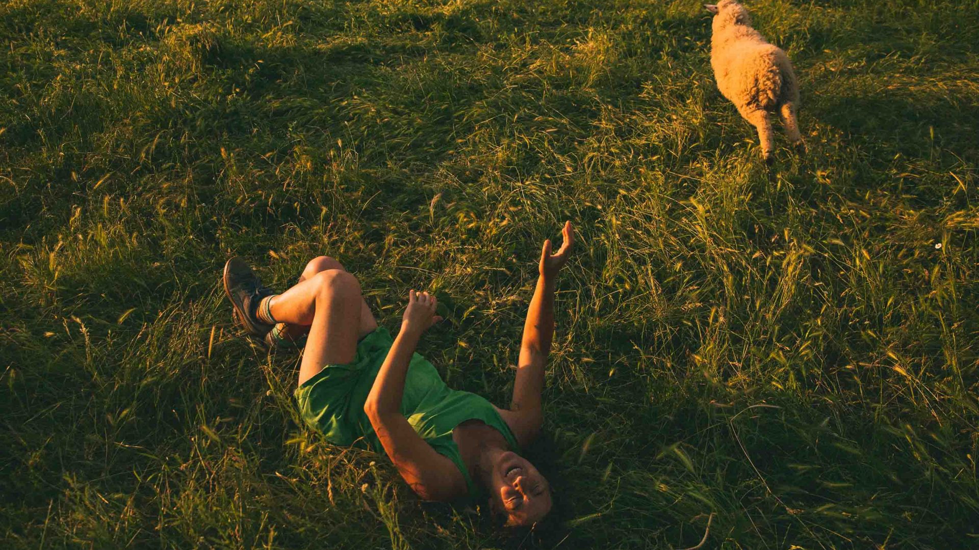 A woman lies laughing in the grass as a sheep goes past her.