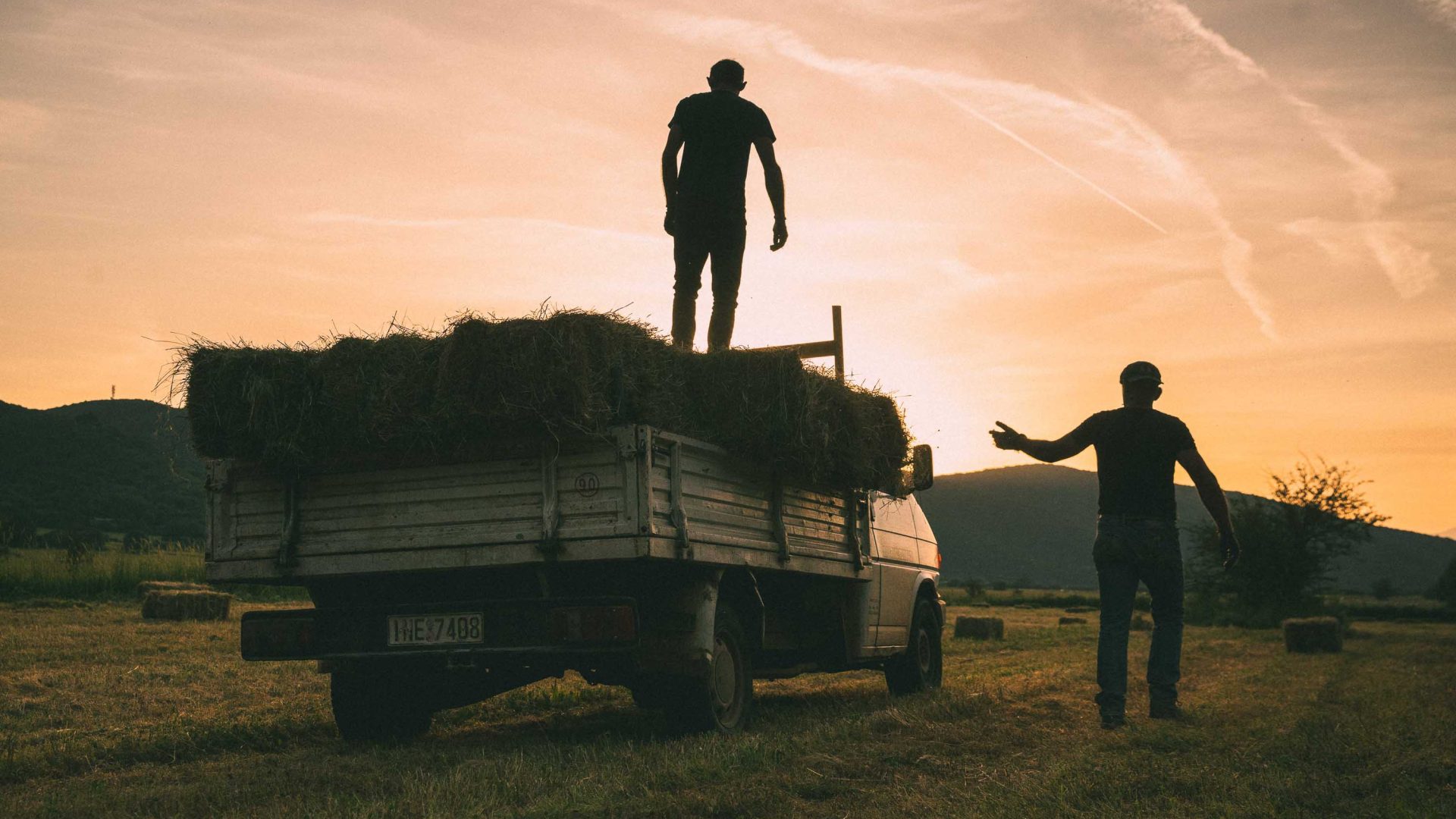 Silhouetted farm workers load hay onto a truck.