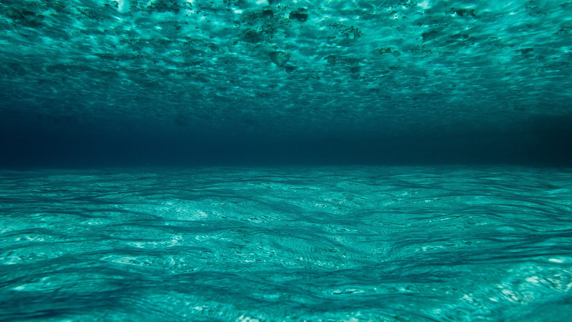 Into the unknown: A team of “aquanauts” is diving into undocumented Maldivian waters