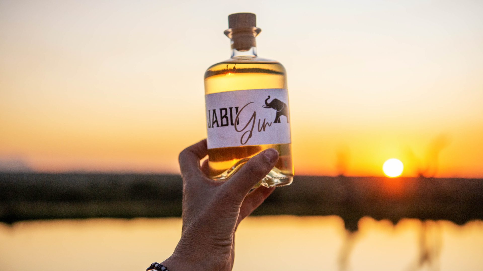 A hand holds a bottle of gin up against a sunset.