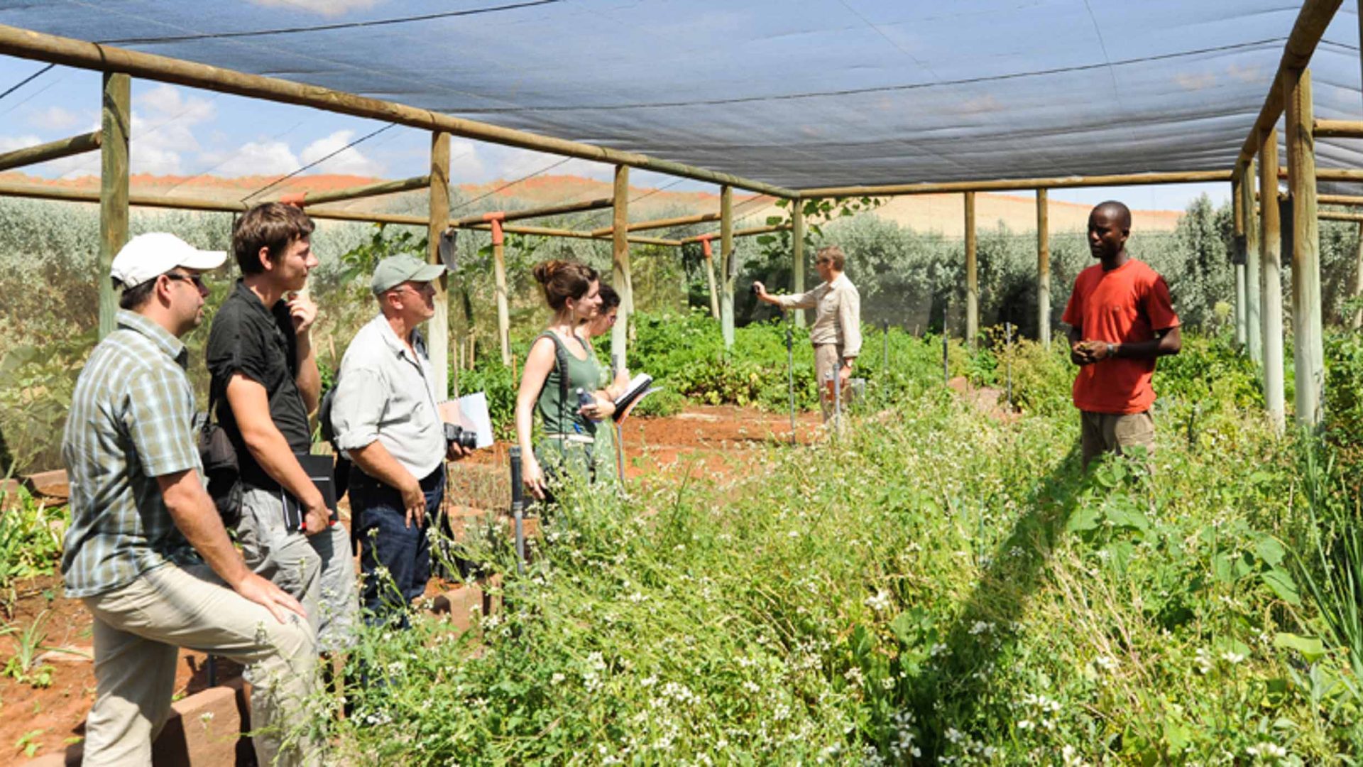 Village permaculture at Wolwedans.