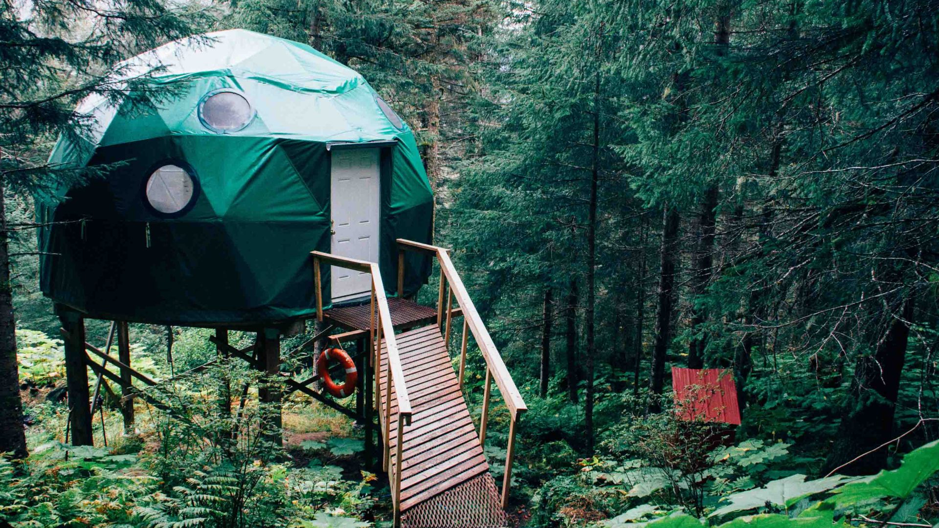 A green yurt in a forest setting.