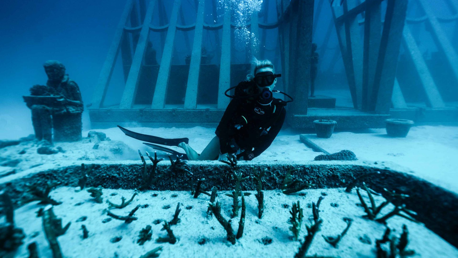 Divers plant coral under the sea.