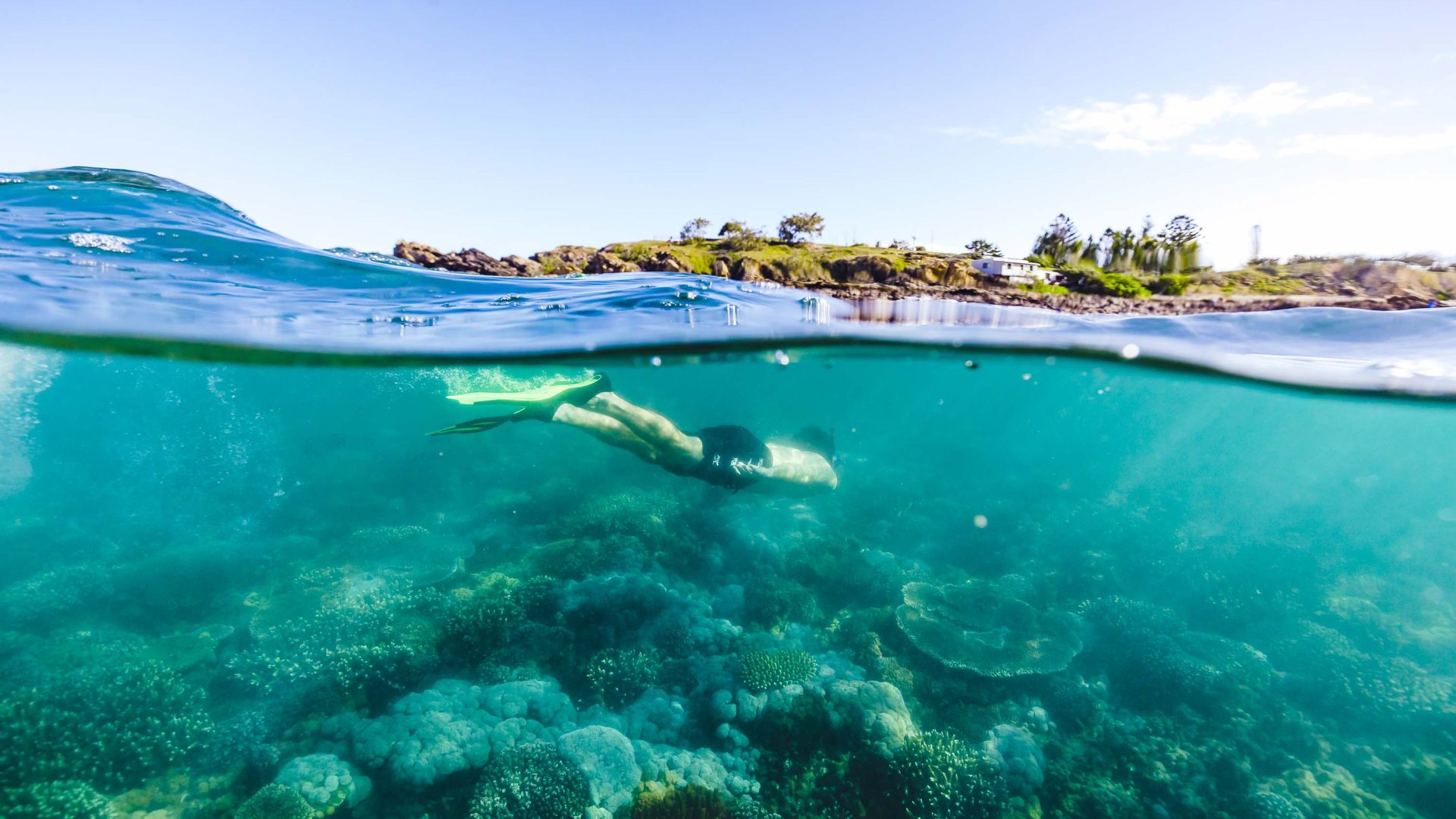 A snorkeler is visble just below the water line while reef and trees are visible in the background above it.