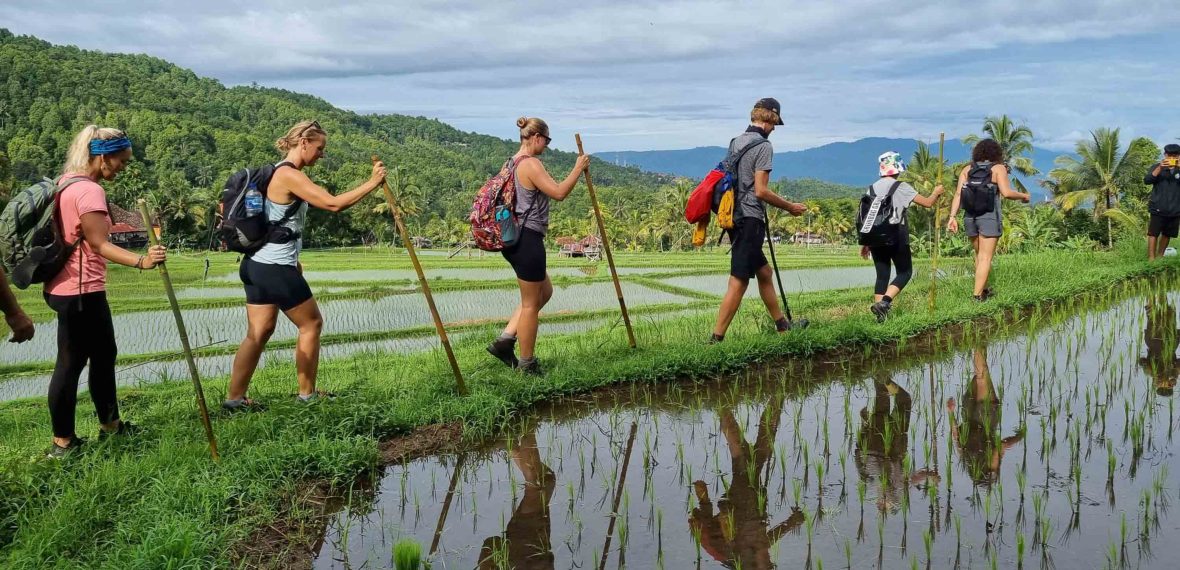 Bali’s own “Camino”: Is this new 132km eco-pilgrimage a win for locals and travelers?