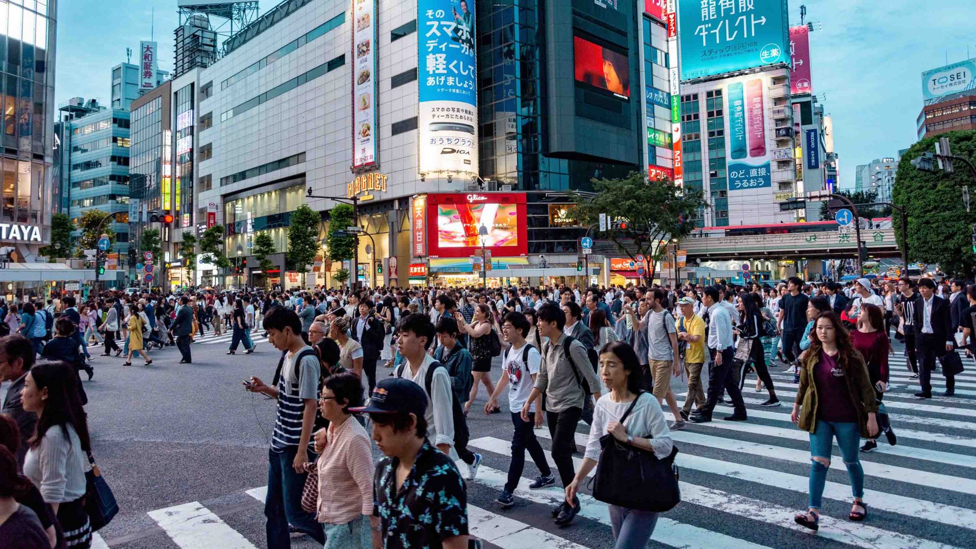 The quiet comeback of travel in Japan
