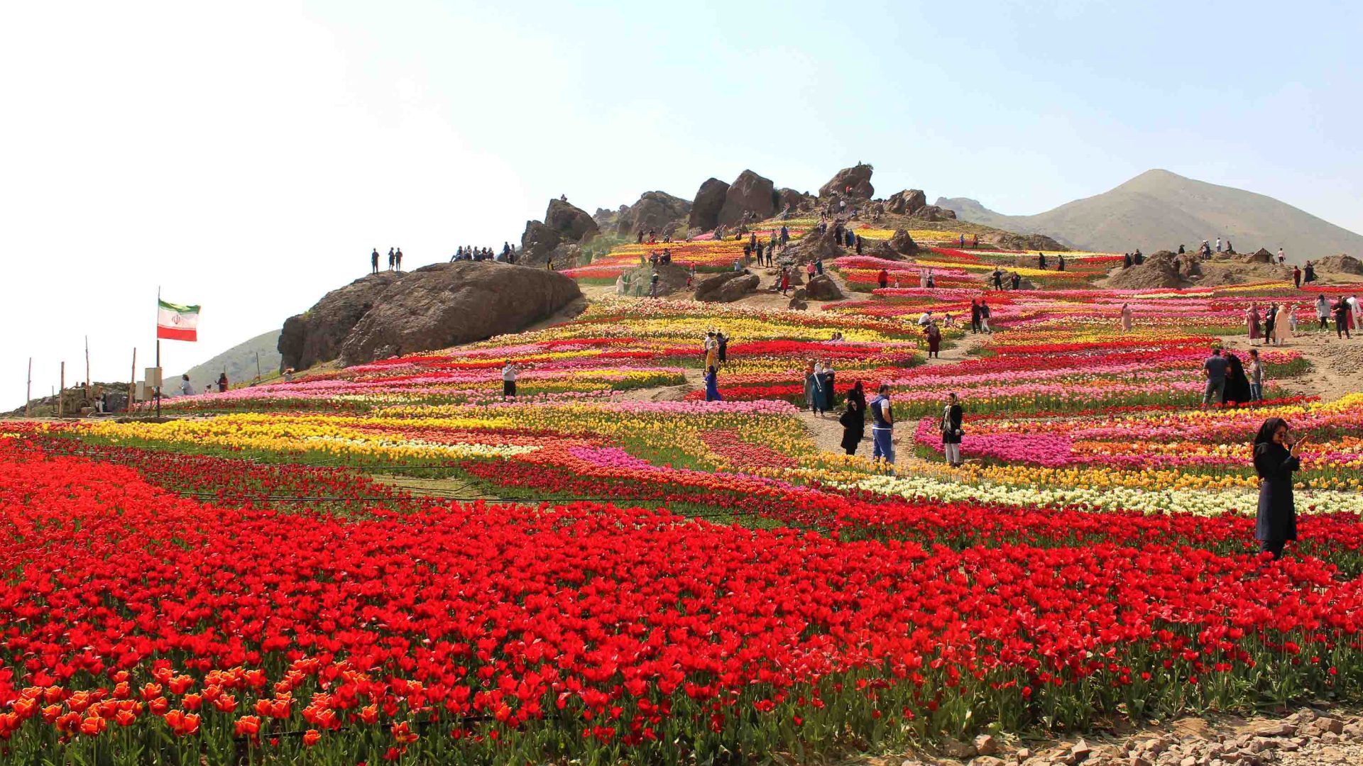Tourists walk amongst fields of colorful flowers and rock formations.