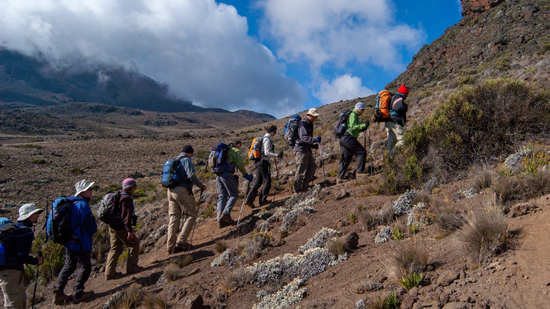 Porters and trekkers on Kilimanjaro