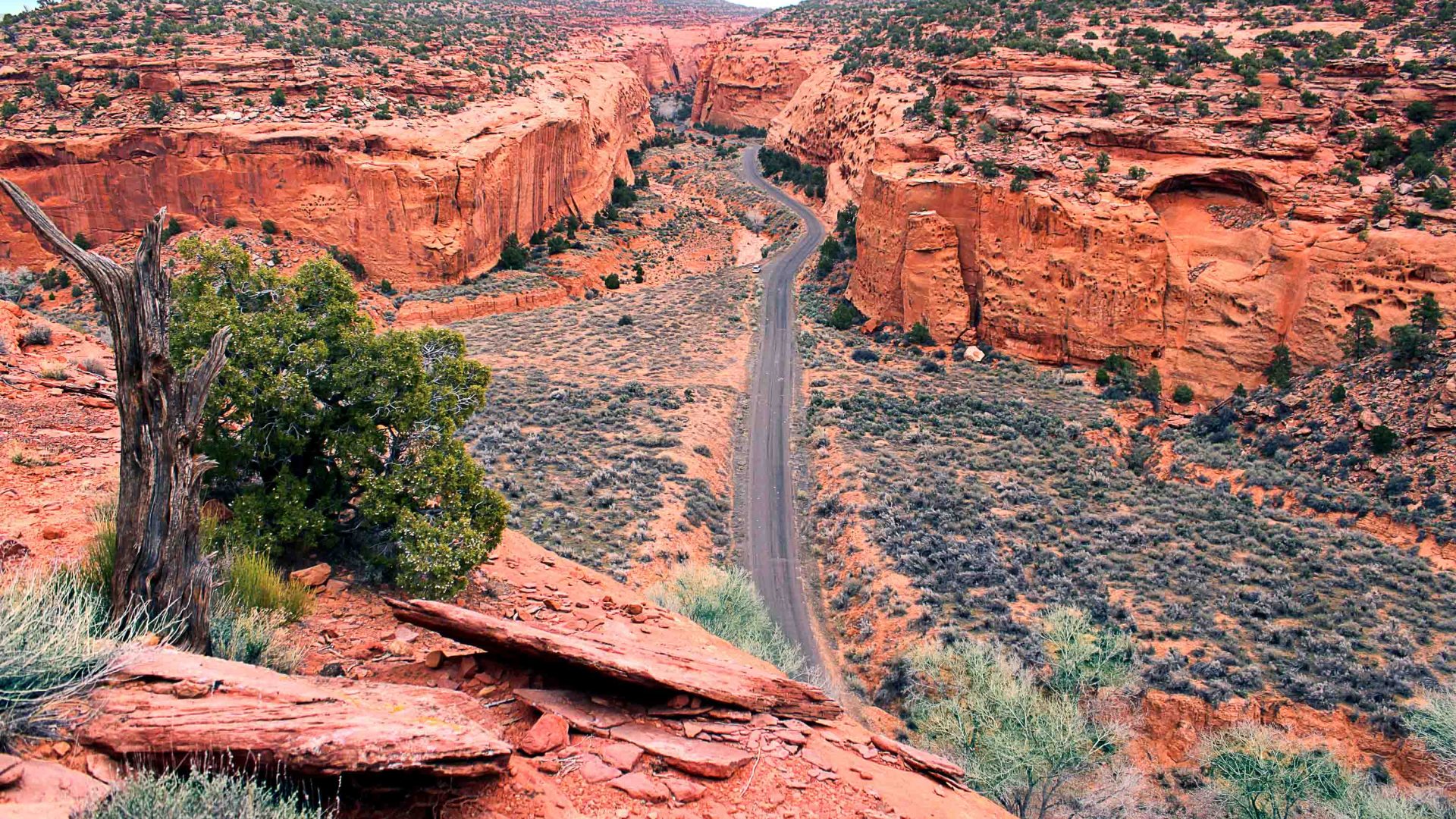 A road goes straight through the middle of tall red rock formations.