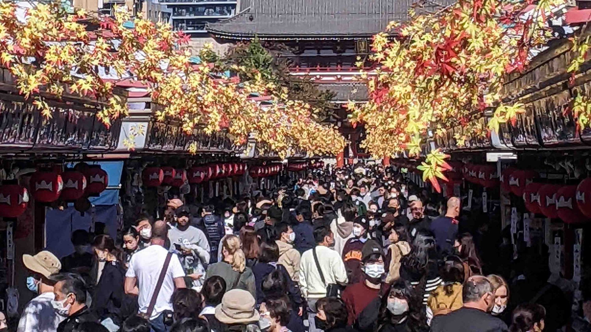 Every inch of space is taken up with people at Asakusa.