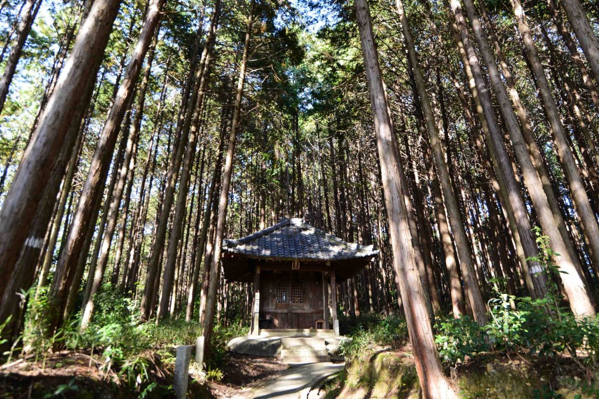 A shrine in the forest.