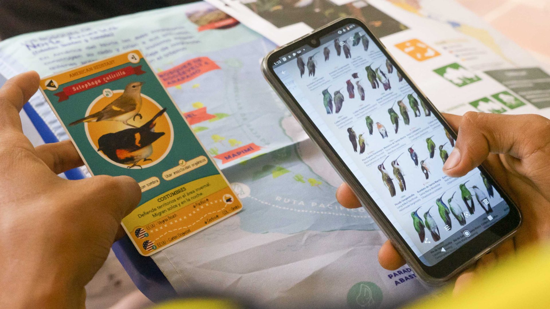 An app and card used to identify different birds.