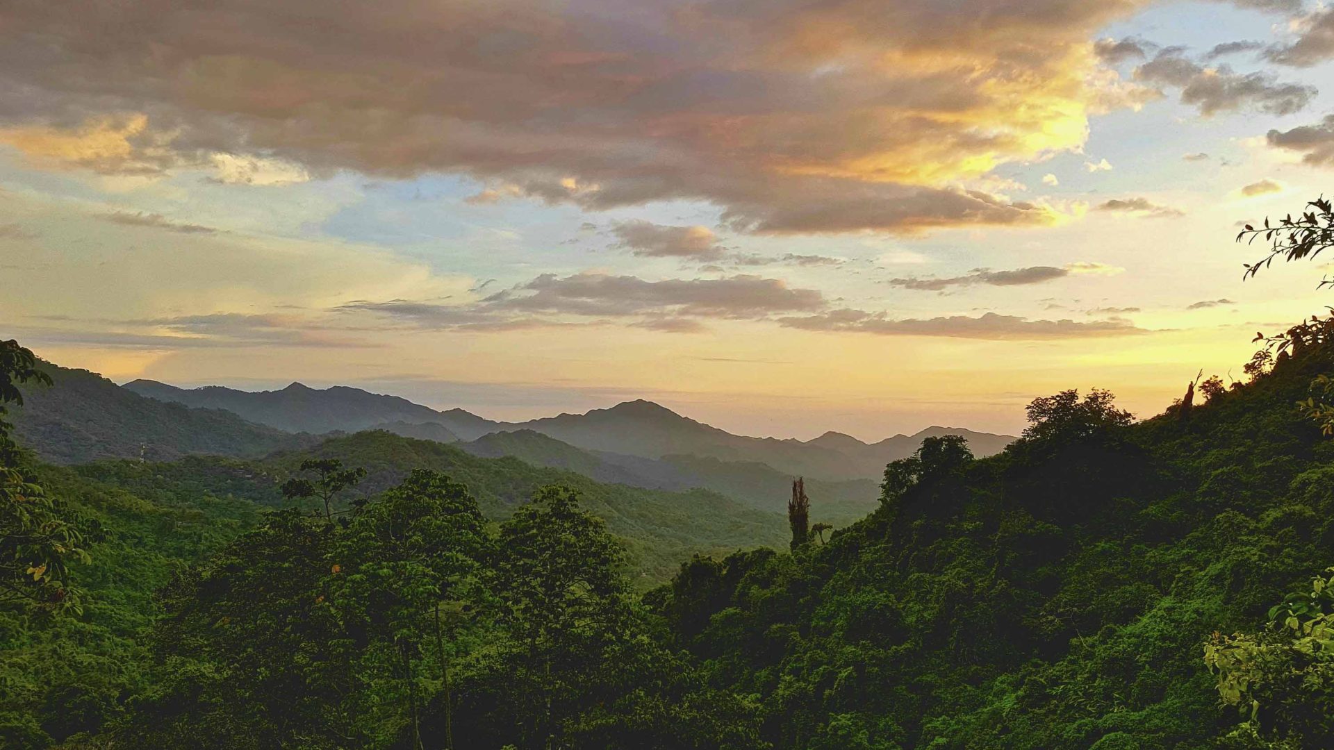 Sunset over the verdant green forests of Minca. Colombia.