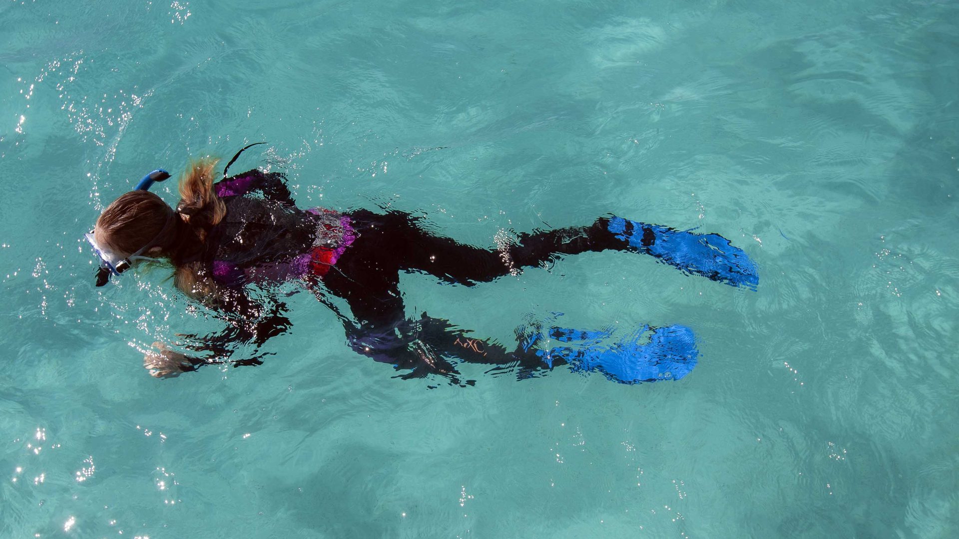 A person snorkelling alone in clear water.