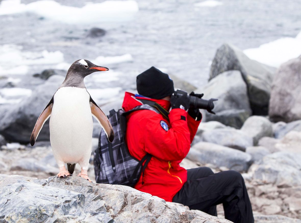 A woman takes photos while a penguin stands next to her.