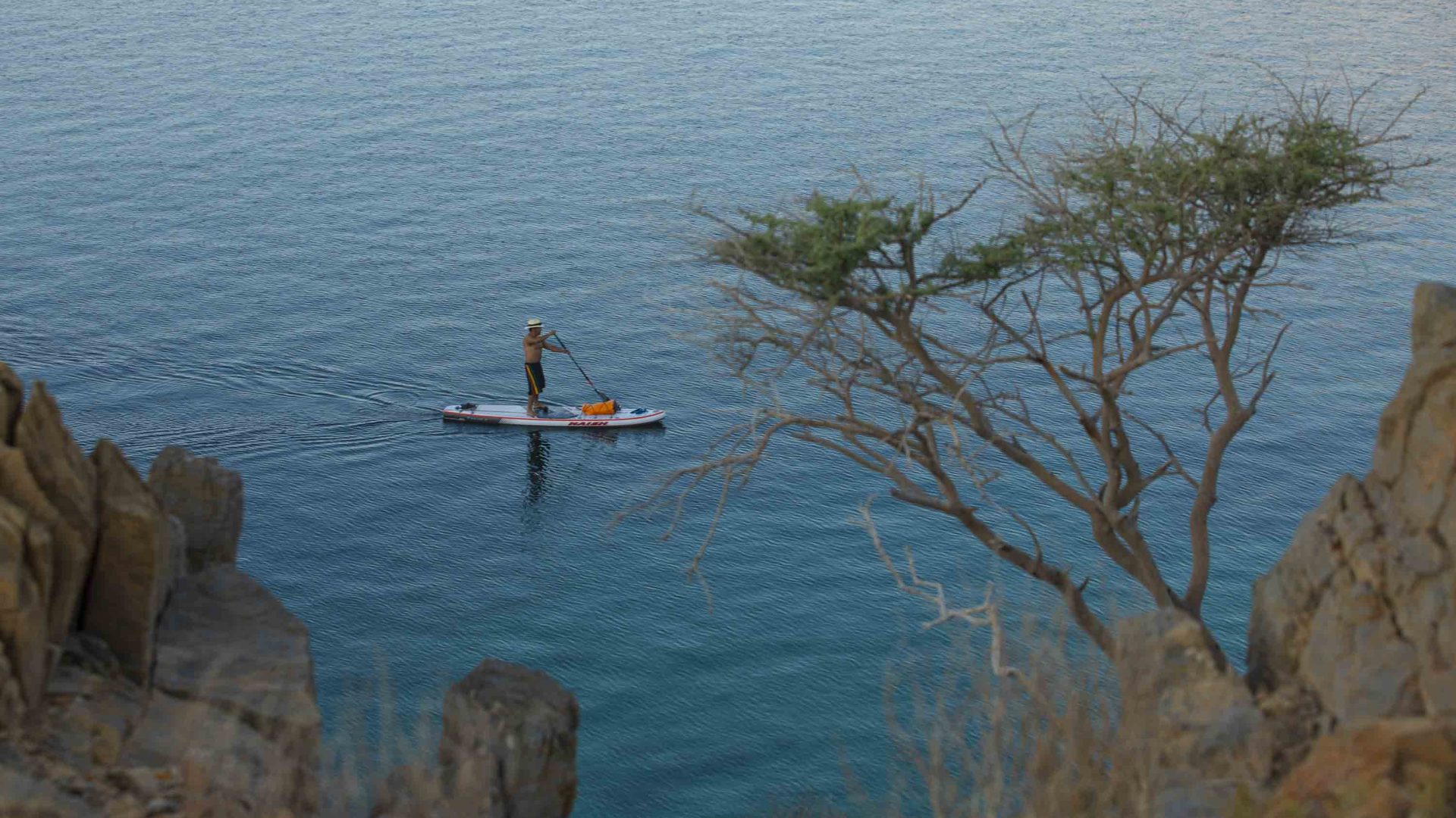A solo paddle boarder can be seen through trees and rocks.