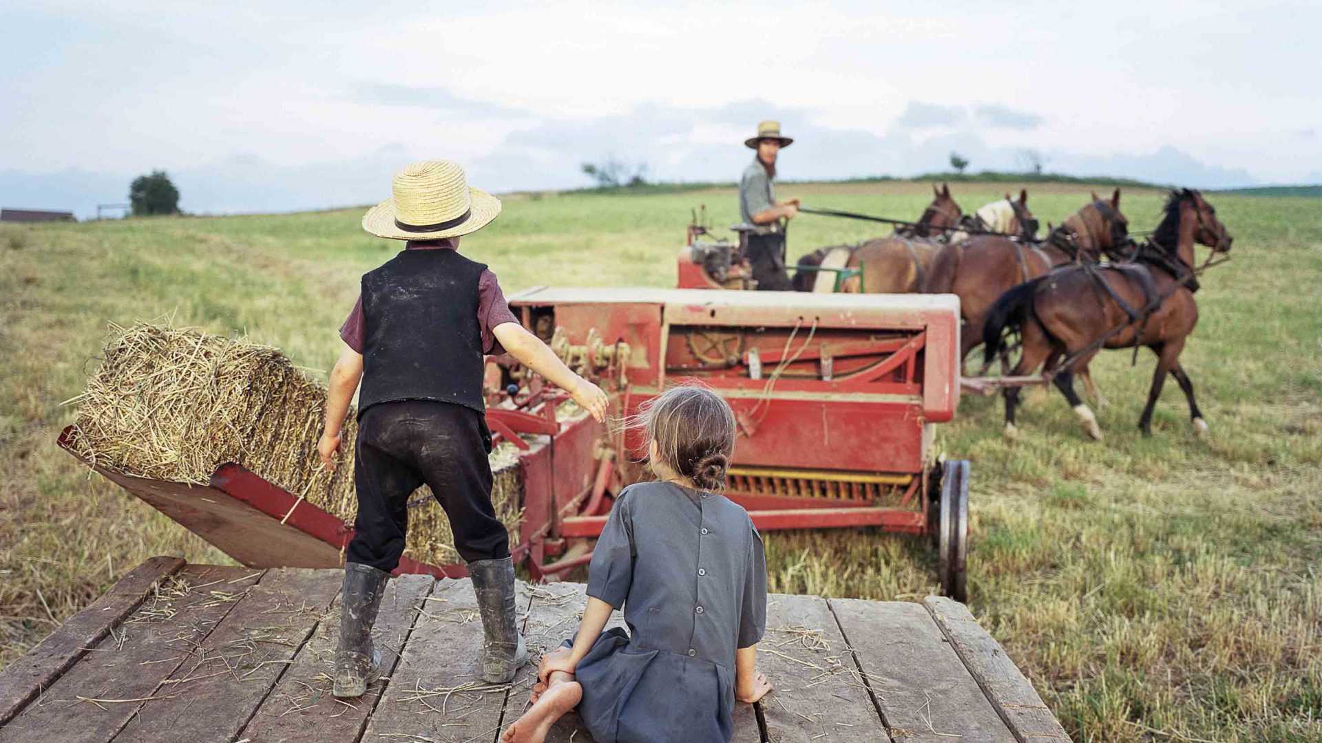 Two children watch on as a man uses horses and some farm machinery.