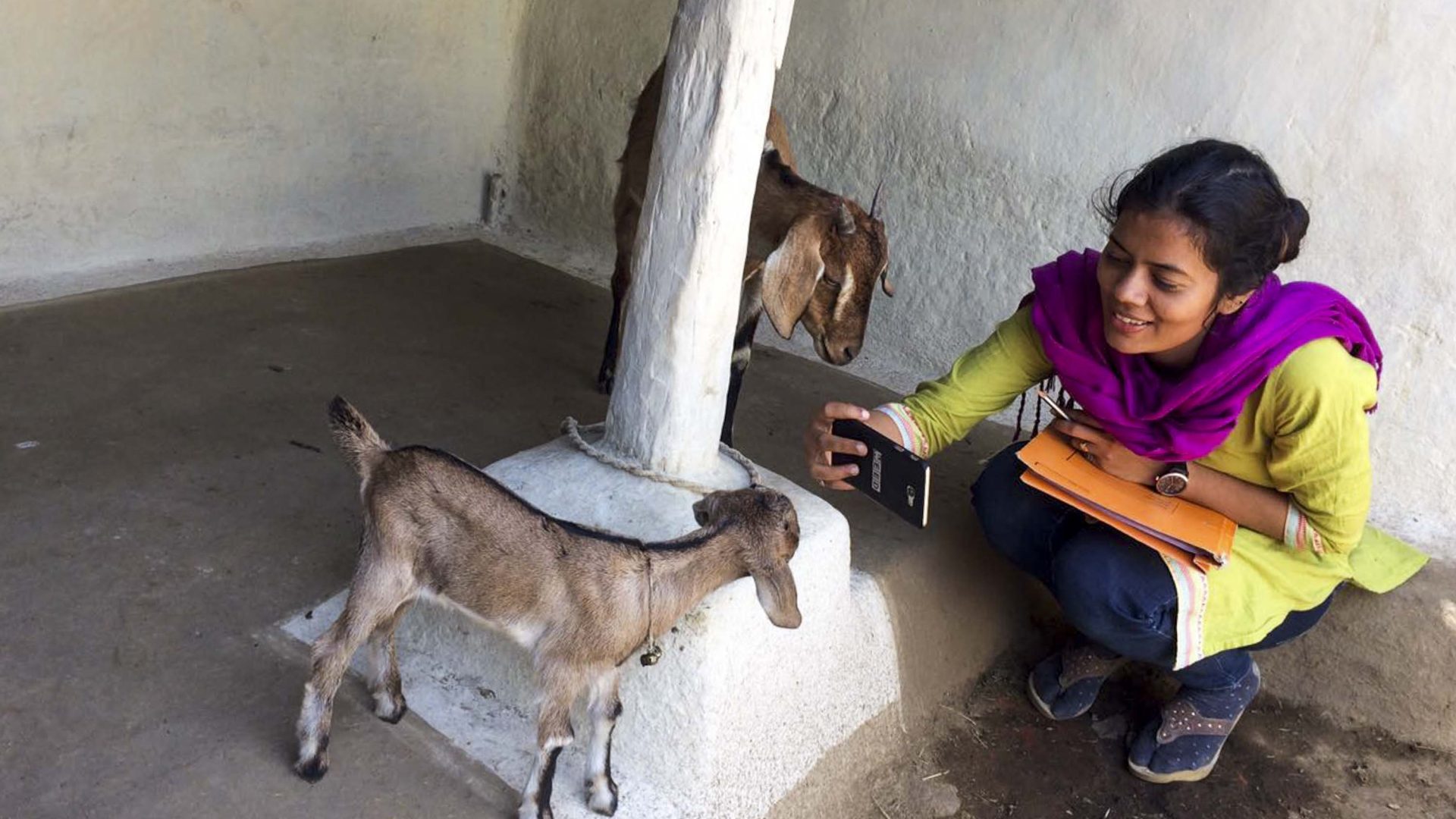Aditi Patil with some small goats.