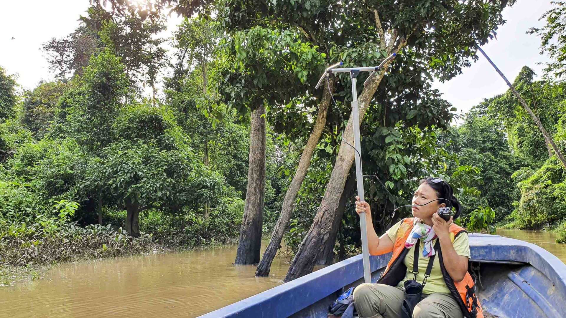 A woman in a boat with equipment tracking pangolins in the forest.
