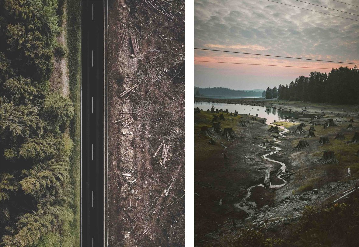 Left: A road carves through forest on one side and deforestation on the other. Right: A wasteland of trees cut down to their stumps.