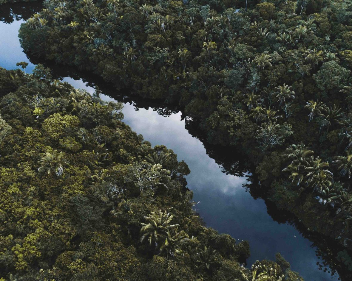 A river runs through dense green forest in Brazil.